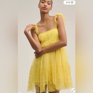 Anthropologie Let Me Be Eyelet Tulle Embroidered Babydoll Mini Dress L
